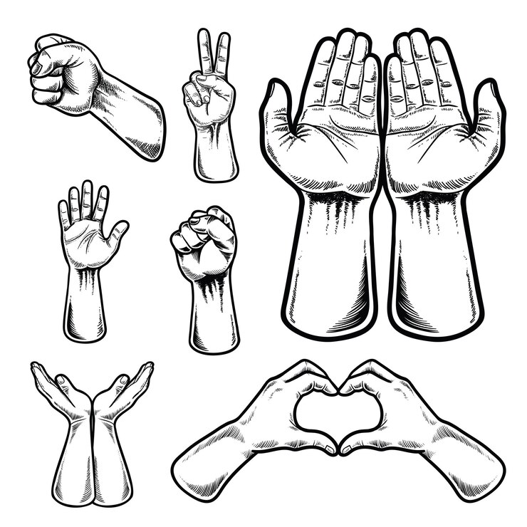 Human gesture hands illustration set