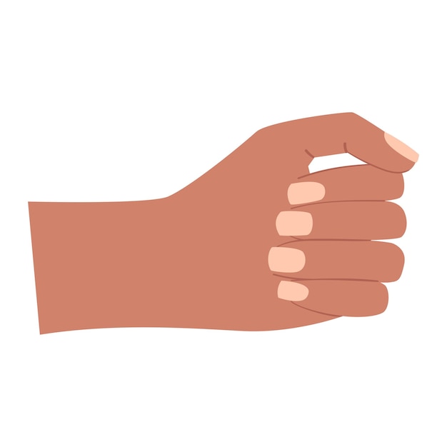 Vector a human hand. a clenched, closed palm. gesture. holds something vertical. an empty fist.