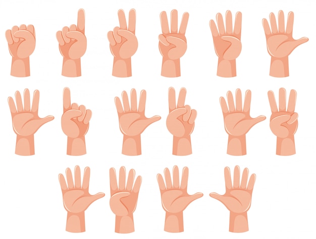 Vector human hand and number gesture