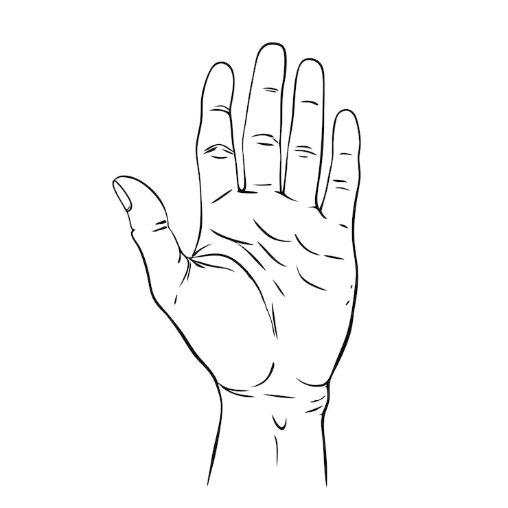 Vector human hand silhouette hand drawn black image of a hand up