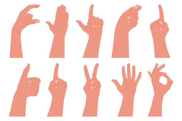 Vector human hand with gesture set isolated on white