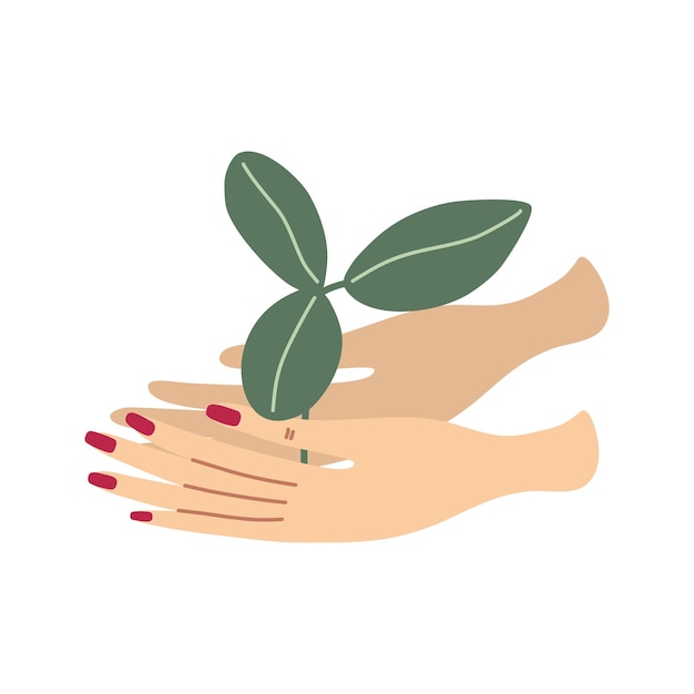 human hands holding sprout spring saplings home gardening and plant care concept save nature