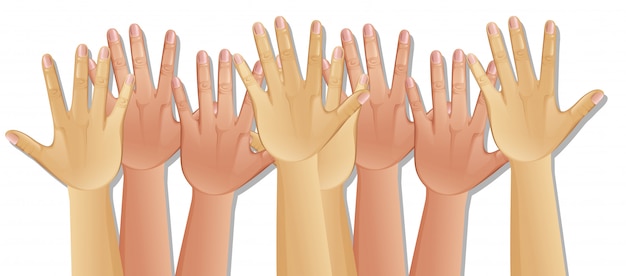 Vector human hands on white background