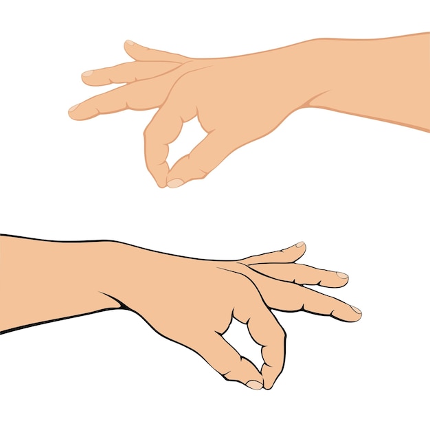 Vector human hands on white background