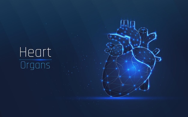 Human healthy heart in wireframe plexus style