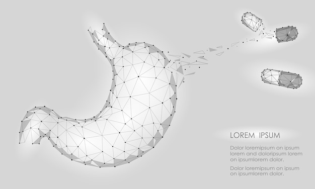 人間の健康医学薬物治療胃。内部消化