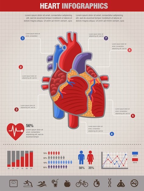 인간의 심장 건강, 질병 및 심장 마비 Infographic