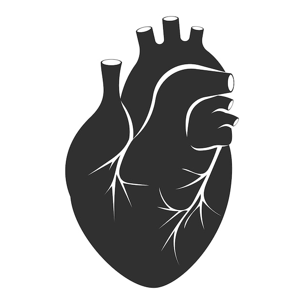 Vettore icona del cuore umano cuore anatomicamente corretto con icona del sistema venoso illustrazione vettoriale eps 10