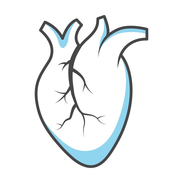 Human heart icon vector on trendy design