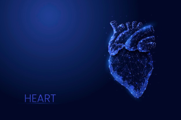 Human heart low poly vector illustration