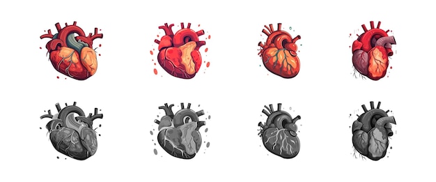 Human heart organ set flat cartoon isolated on white background Vector illustration