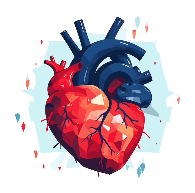 Human heart vector illustration on isolated background