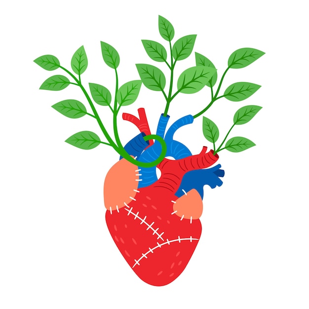Human heart with leaves. Cartoon biological organ with muscle and veins, vector illustration of cardiovascular pump for blood with blooming branches isolated on white background