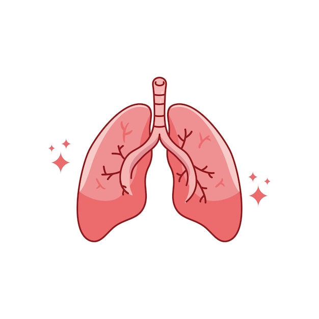 폐가 있는 인간의 내장. 벡터 만화 평면 아이콘 그림 흰색 배경에 고립.