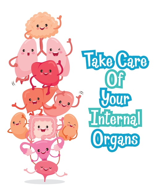 Human internal organs, cartoon characters funny together