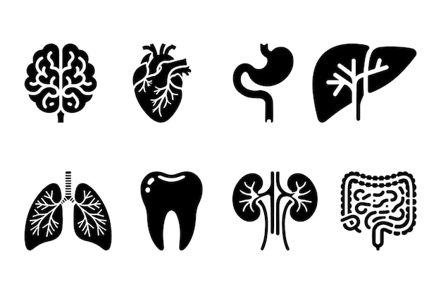 Human Internal Organs Icons