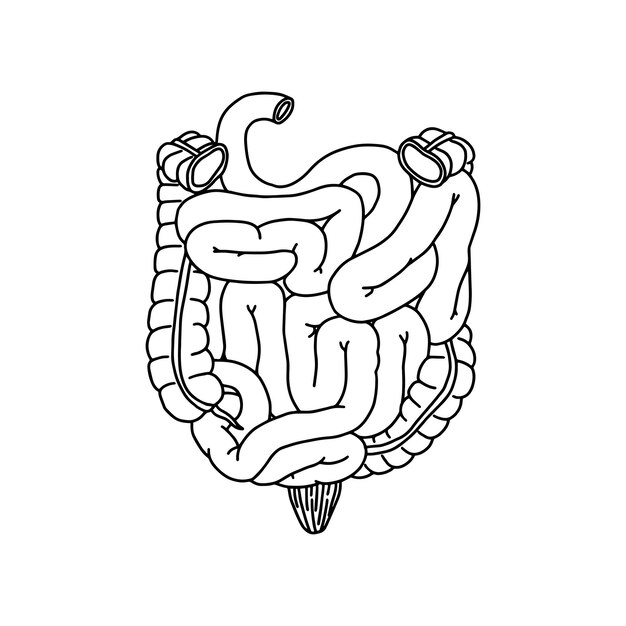 Vector human intestinal illustration vector medicine concept