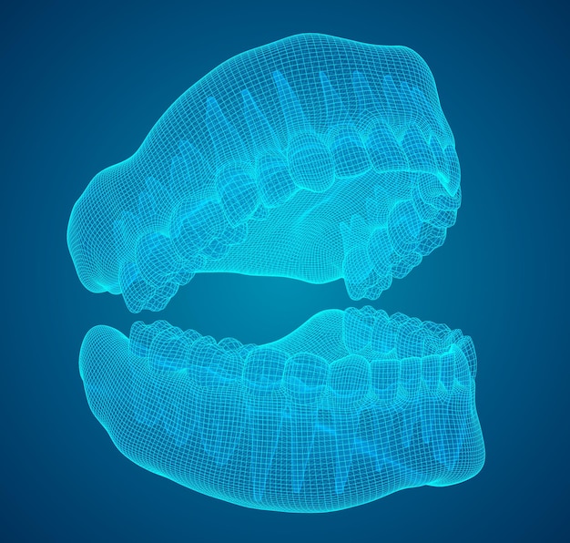 Вектор Человеческая челюсть 3d векторный макет медицина и здоровье