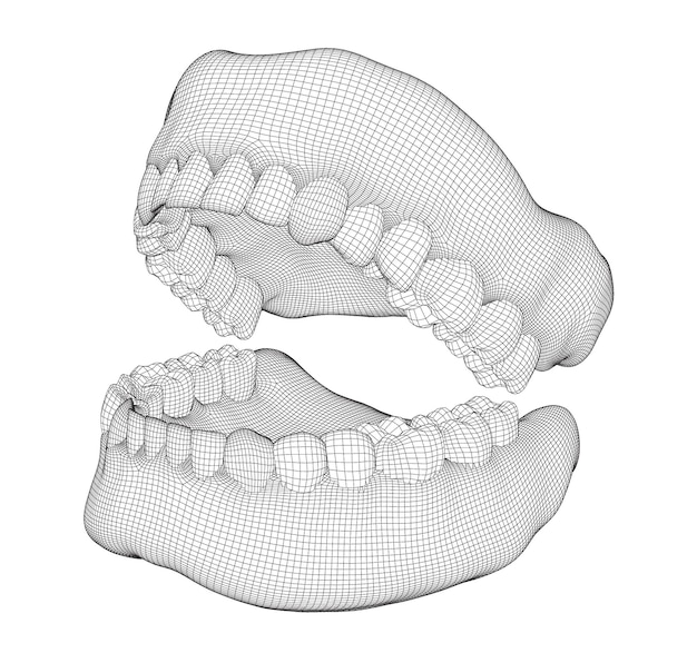 Человеческая челюсть 3d векторный макет медицина и здоровье