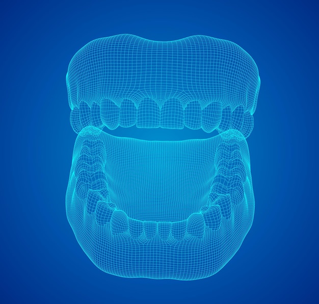 Vector human jaw 3d vector layout medicine and health