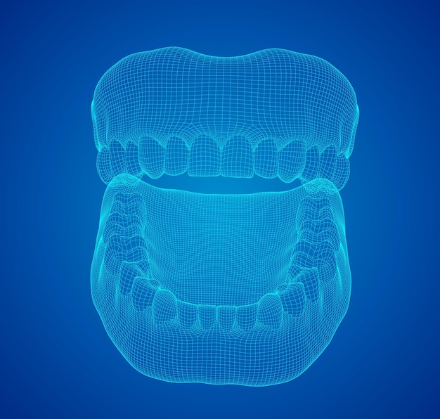 人間の顎 3 d ベクトル レイアウト医学と健康