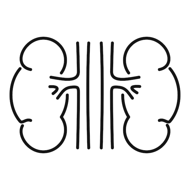 Human kidney icon Outline human kidney vector icon for web design isolated on white background