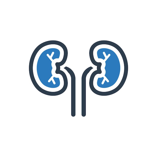 Human kidney icon