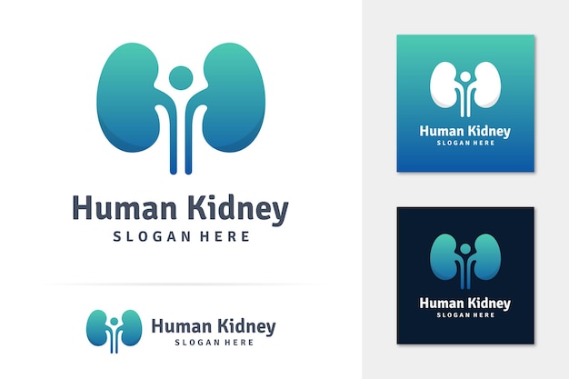 Vector human and kidney logo vector