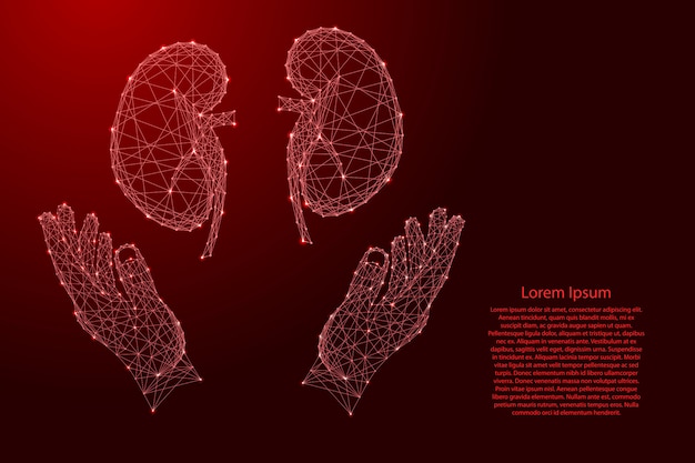 Человеческий почечный орган и два холдинга, защищая руки от футуристических полигональных красных линий и светящихся звезд для баннера, плаката, поздравительной открытки.
