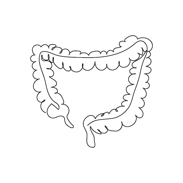 Intestine small bowel and large colon vector  Stock Illustration  90763796  PIXTA