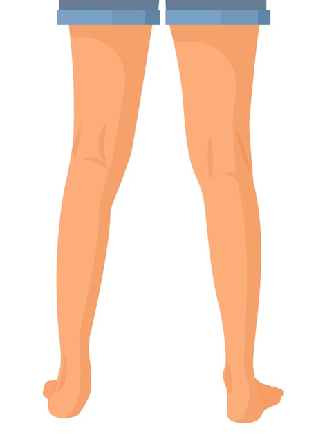 Vector human legs back, vector illustration for advertising, medical (health care) publications, animation