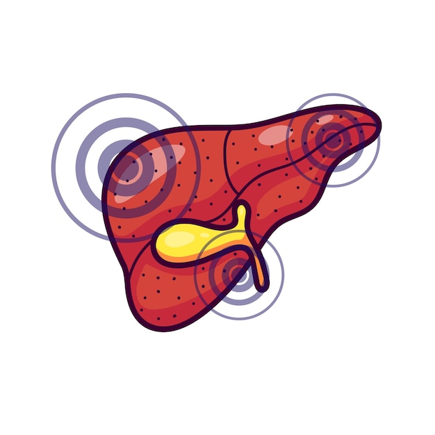 Vector human liver with pulsating sources of pain sick liver in cartoon style affected liver with acute pain