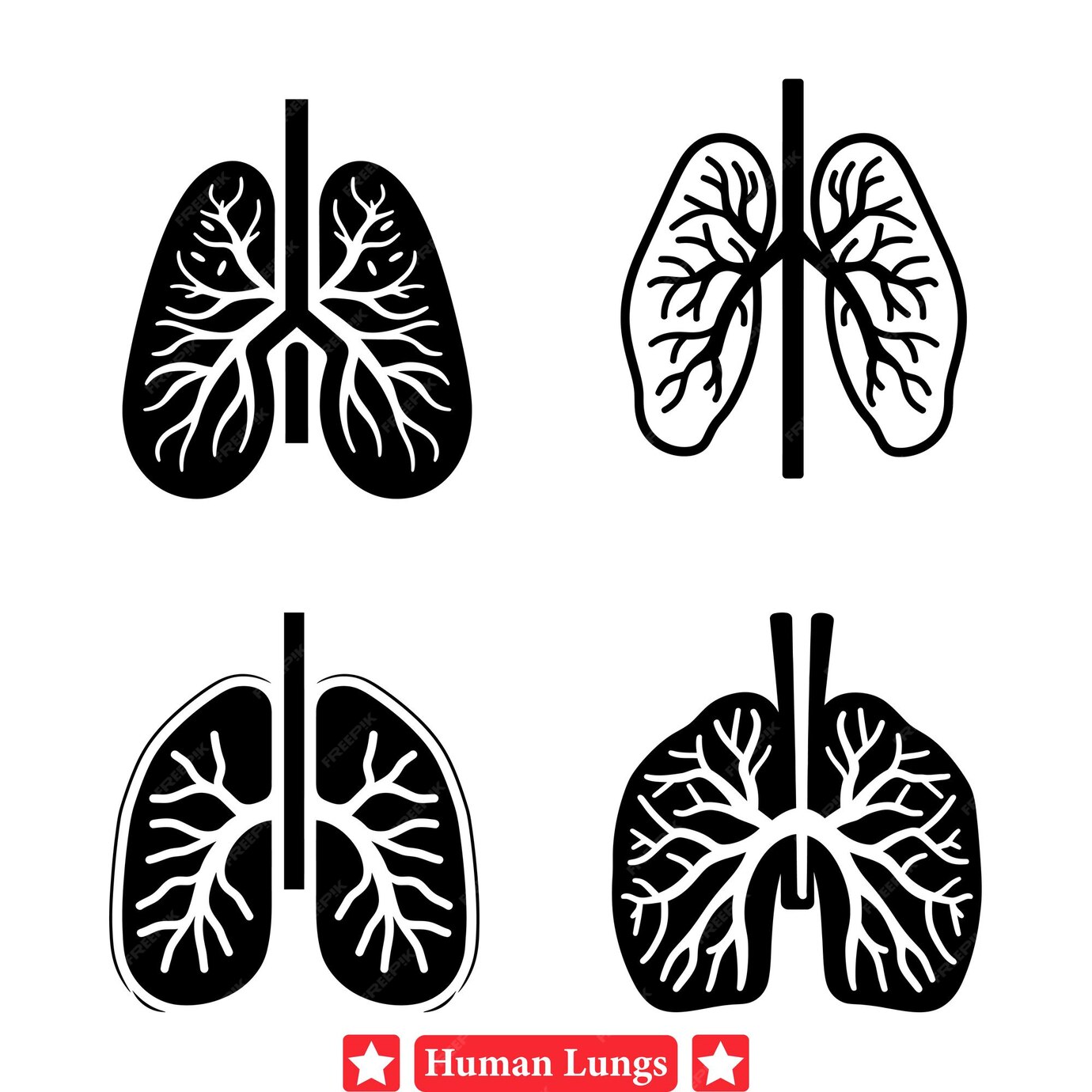 Premium Vector Human Lung Anatomy Silhouettes Set Ideal For Medical premium-vector-human-lung-anatomy-silhouettes-set-ideal-for-medical