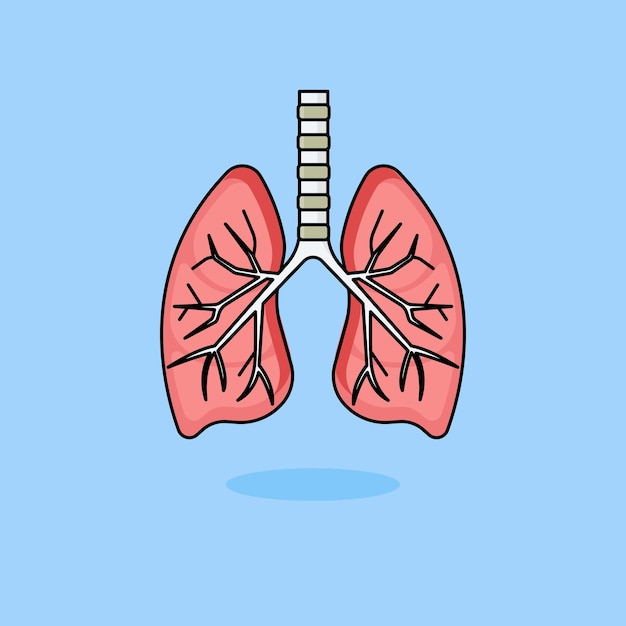 human lung flat design illustration