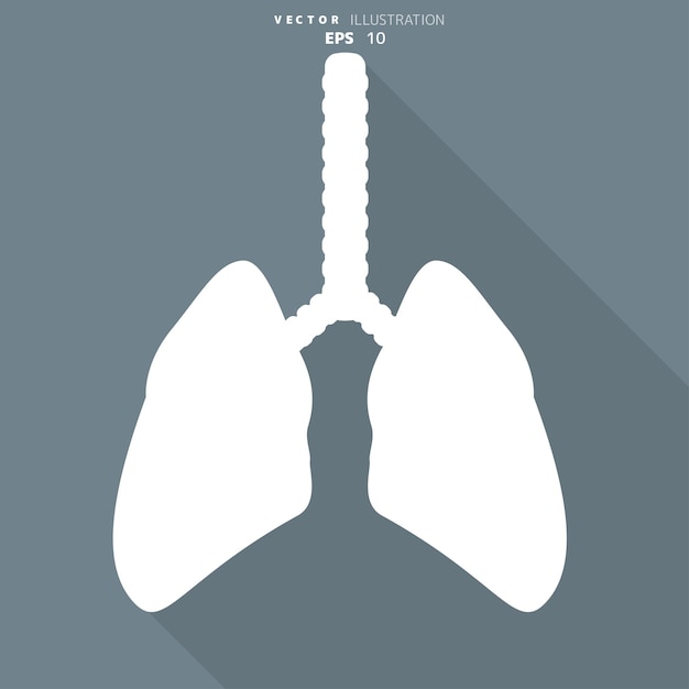 Vector human lung icon medical background health care