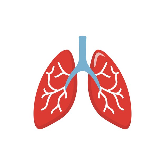 Vector human lung icon