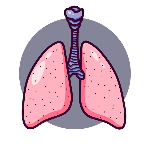 Human lungs in cartoon style.  Lungs logo or icon with bronchi.