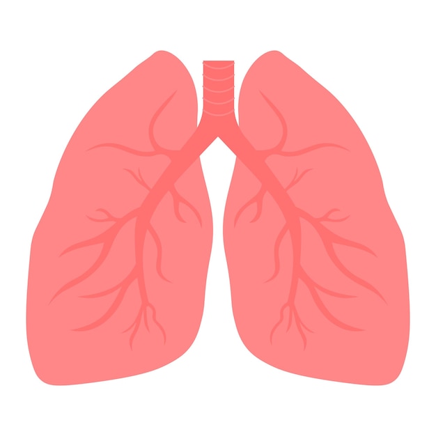 Human lungs icon vector illustration