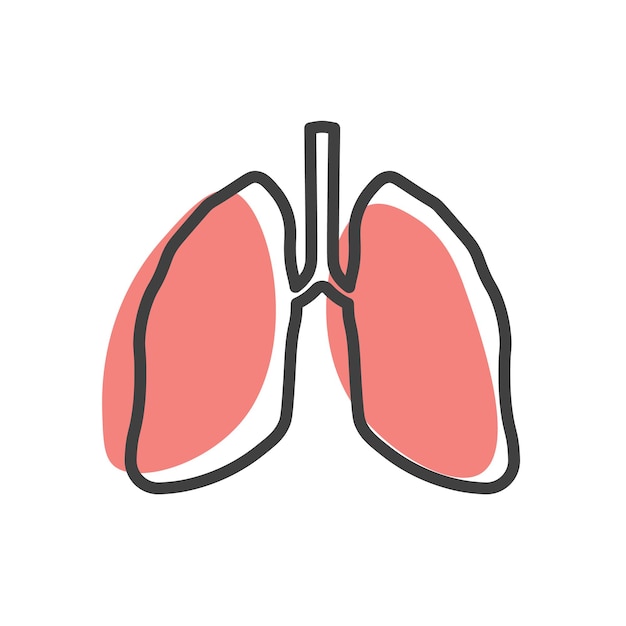 Human lungs linear icon Internal organ Respiratory system icon Anatomy medicine concept