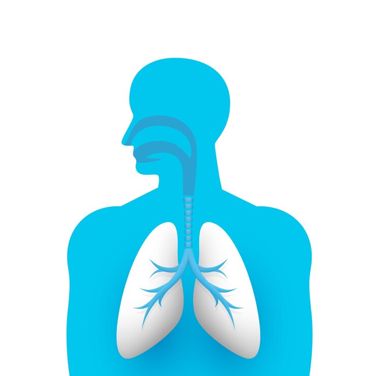 वेक्टर human lungs medical art creative. vector illustration