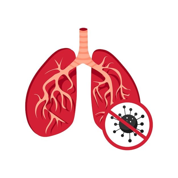 Human lungs and the virus crossed out with a stop sign Anatomy