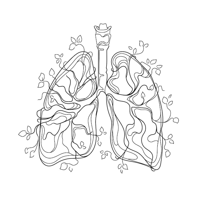 벡터 인간의 폐 계획 및 성장하는 잎, 라인 아트 드로잉, vector.internal organ lungs abstract