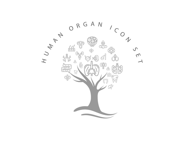 Набор иконок человеческого органа на белом фоне premium векторы