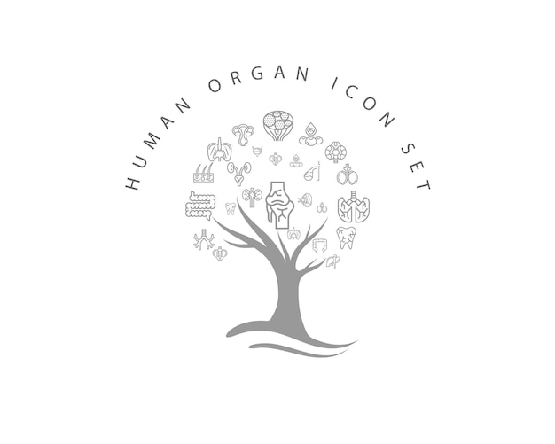 Human organ icon set on white background Premium Vector