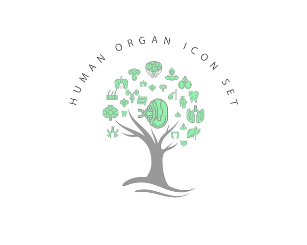 Human organ icon set on white background Premium Vector