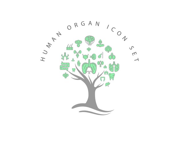 Human organ icon set on white background Premium Vector
