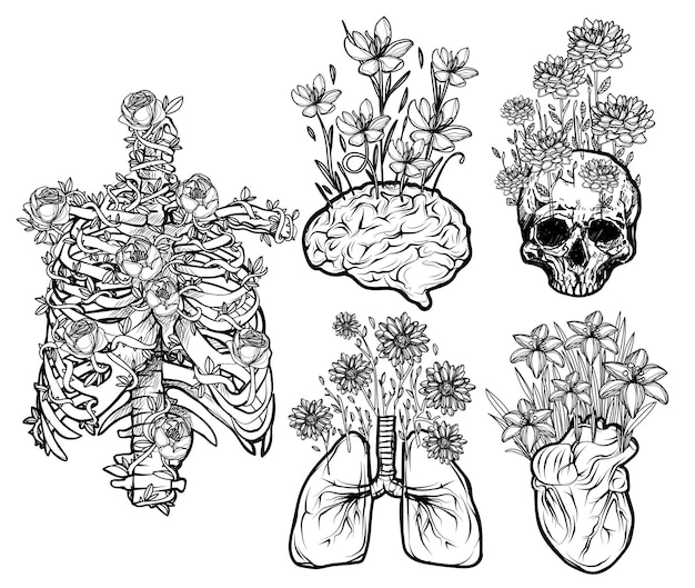 Vector human organs flat flower set sketch black and white
