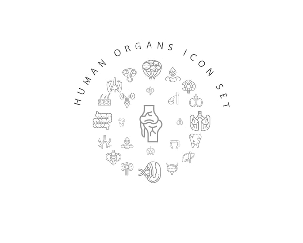 Human organs icon set design