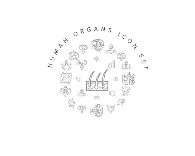 Human organs icon set design