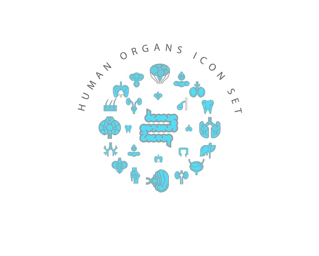 Human organs icon set design